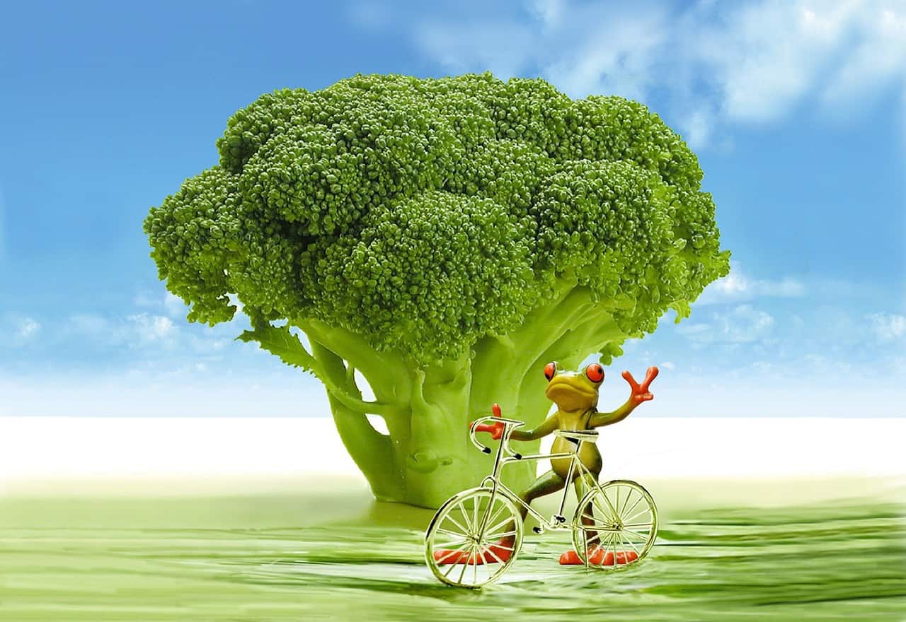 Clipart Brokkoli und Frosch mit Fahrrad